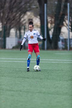 Bild 11 - wBJ HSV - F VfL Jesteburg : Ergebnis: 6:1